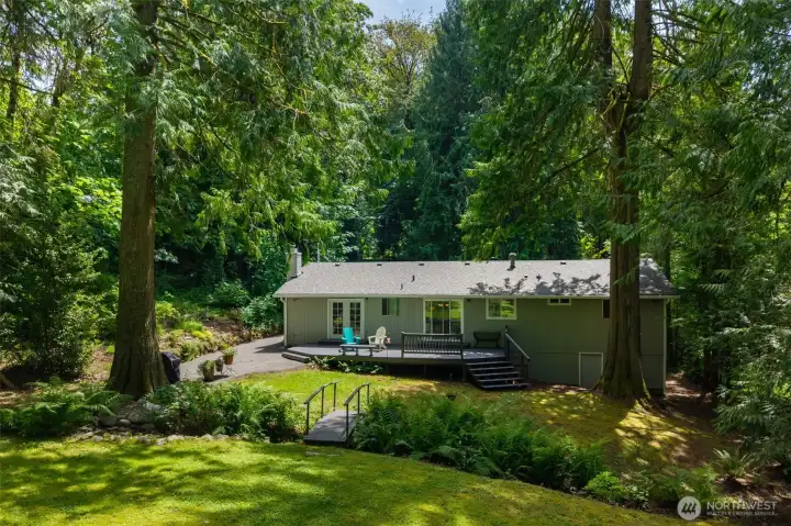 View from your fire pit of the backyard and house. Basement is off to the right of the house in back. View from your fire pit of the backyard and house. Basement is off to the right of the house in back.
