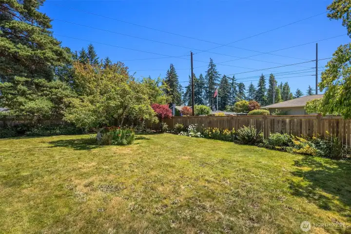 The back yard is fully fenced. The back yard is fully fenced.