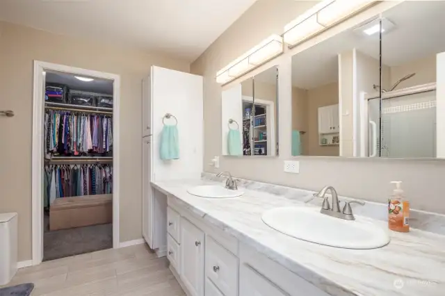 Main floor primary bath has dual sinks, large walk-in closet