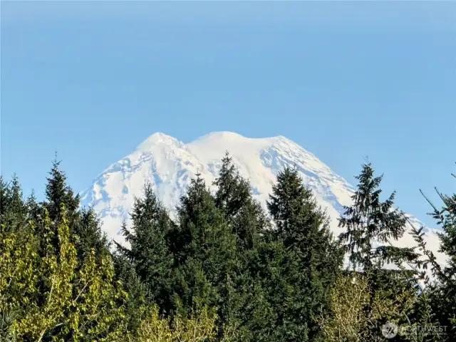Panoramic Mount Rainier View