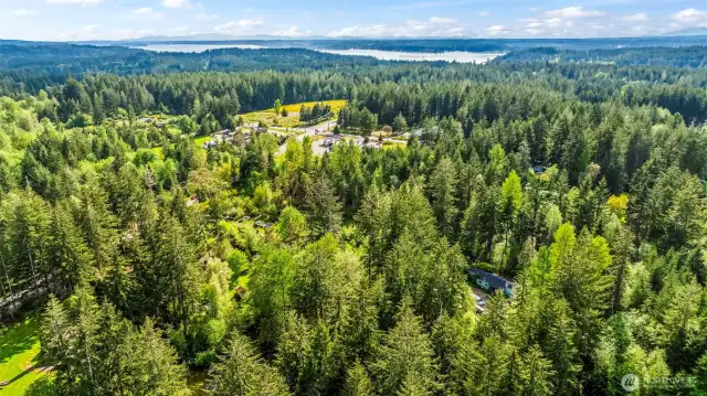 Lot is located in the center bottom of image.