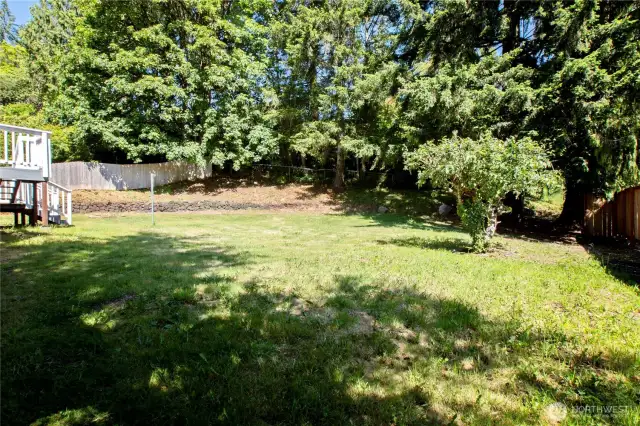 Large Backyard with Mature Landscaping