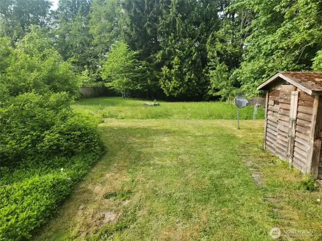 looking north to back area of property