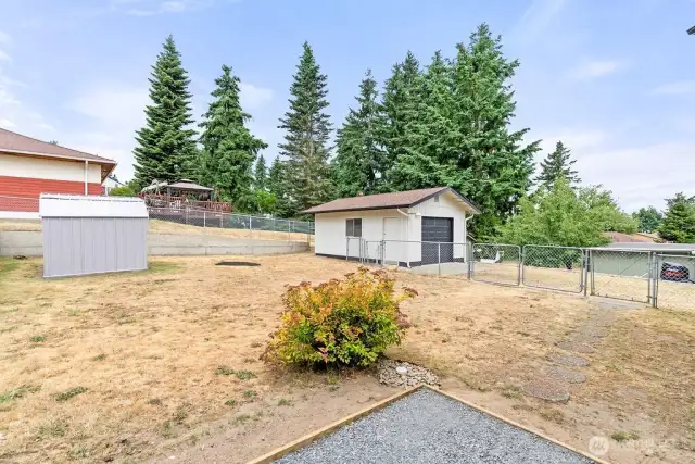 Backyard