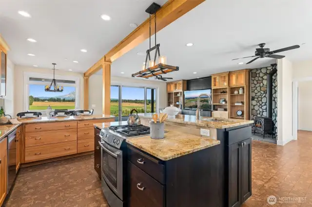 kitchen view 2