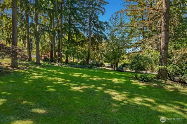 rolling green landscape