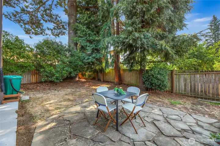 Back Yard off deck.