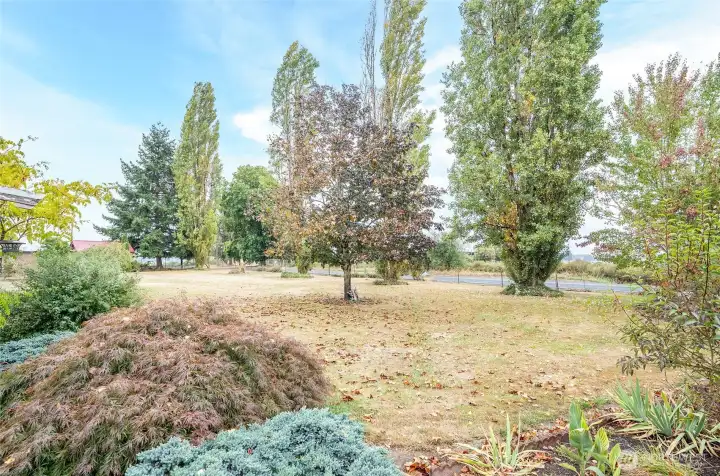 This is the front yard facing South