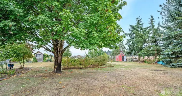 This is the front yard facing East showing the she-shed, red chicken coop and garden.