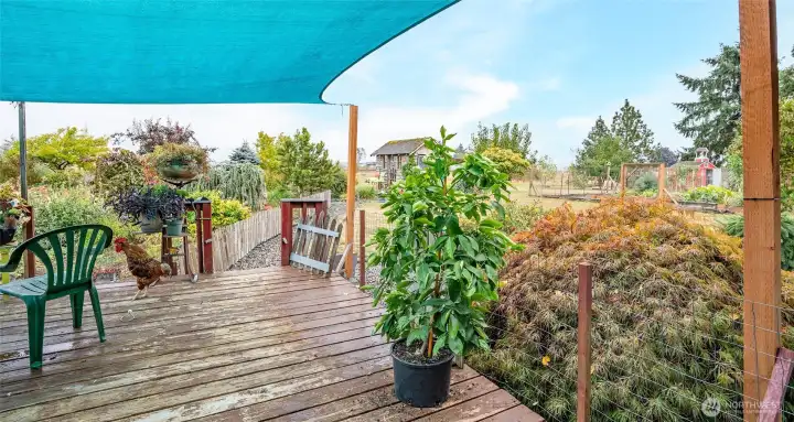 Back deck faces East. You can see both Mt Rainier and Mt St Helens on a clear day.