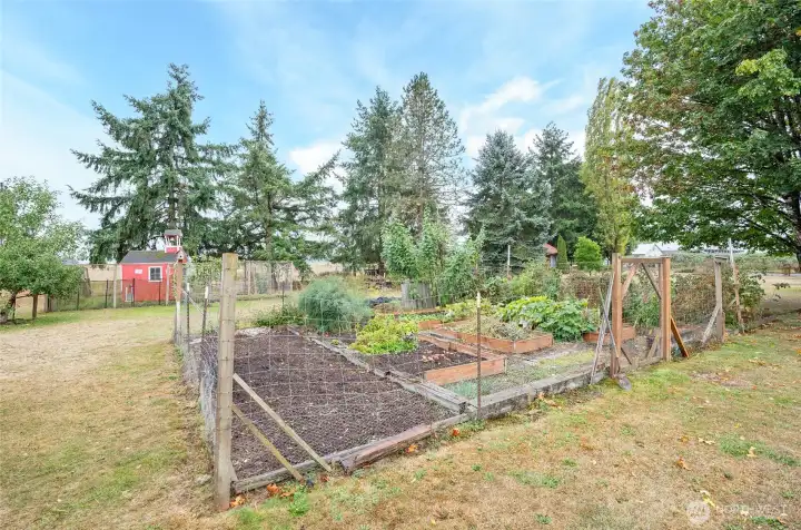 Here is the fenced in garden with aspargus, raspberries just to name a few.