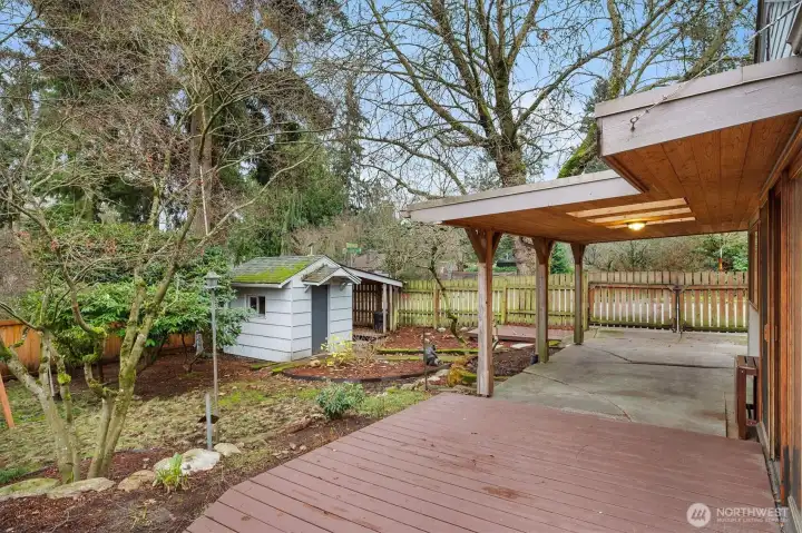 The South yard, showing the deck, carport, storage shed, and recycling bin shed.