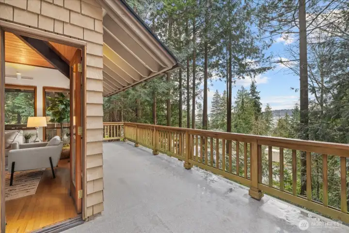 Lovely Deck - Views of the Lake