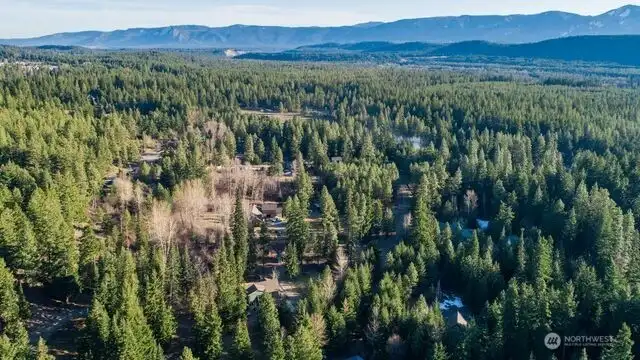 Quiet location on 4plus acres