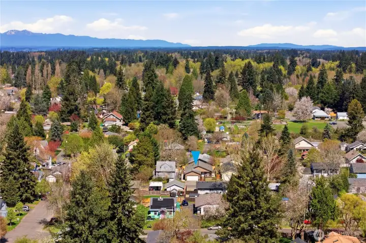 Northeast Olympia is known for its scenic beauty, restaurants and arts, and vibrant waterfront.