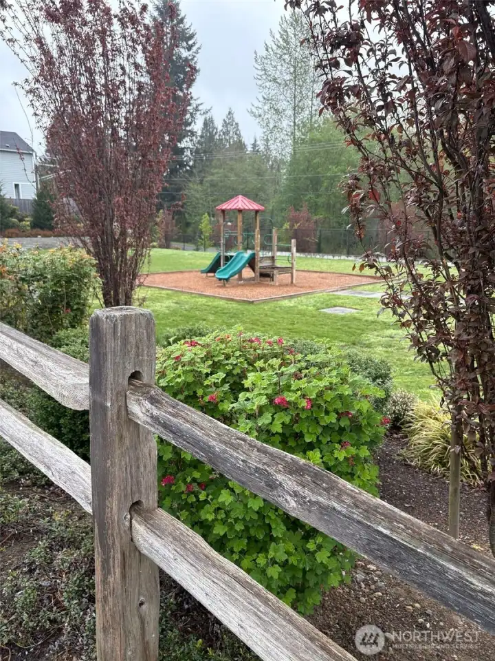 Community Park.