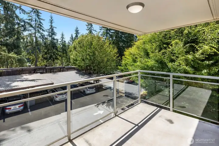 Enjoy southerly views full of trees from your deck!