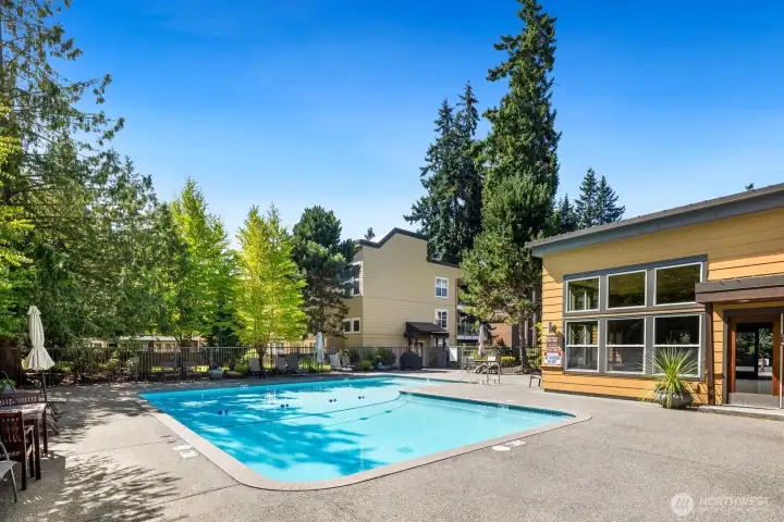 Resort-style outdoor pool surrounded by mature landscaping and additional clubhouse amenities.