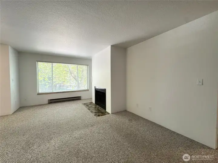 Spacious Living Room