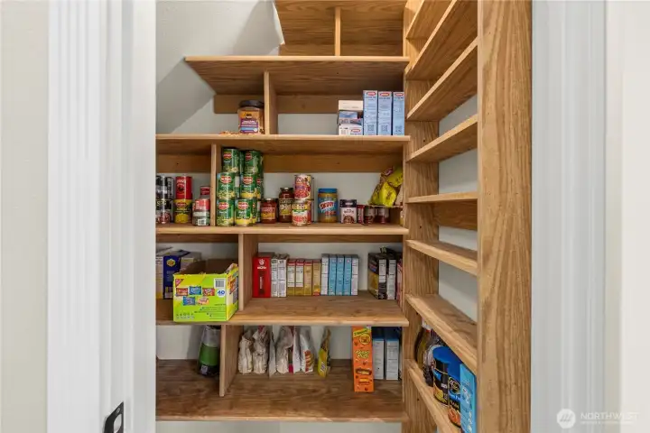 Walk-in pantry Walk-in pantry