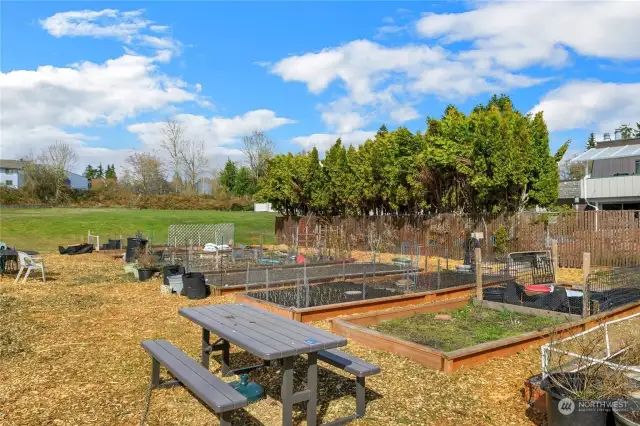 Community garden