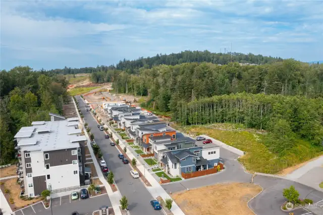 View of the first 10 of 30 homes completed at Crossridge looking up Creston Way which will eventually connect with James St.