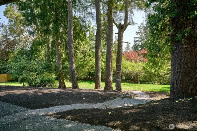Large backyard