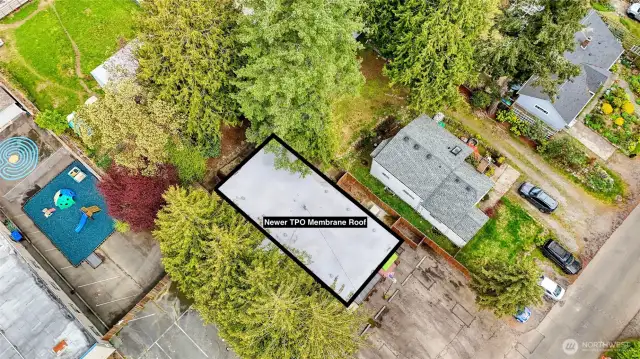 Newer TPO Roof