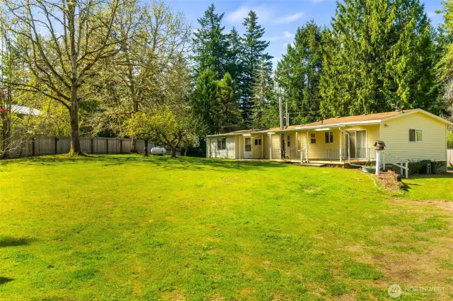 Back yard