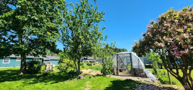 Green house included!!