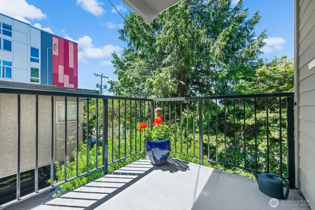 Deck is approximately 6' x 6'.  Large Tree provides privacy from Meridian Ave N.