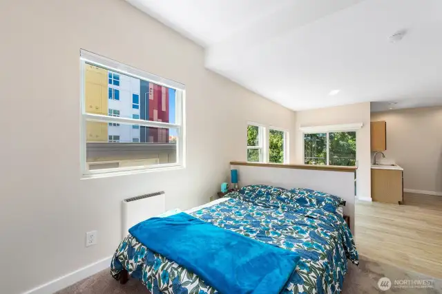 This space has a double closet plus a mirrored bi-fold Closet.  Great natural light from large Window with South exposure.