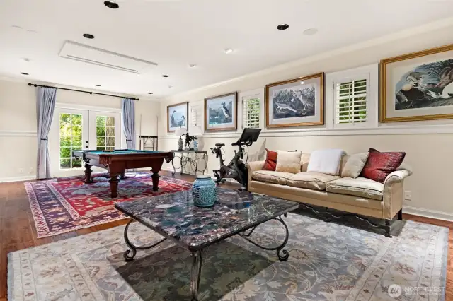 Large Bonus room off the garage
