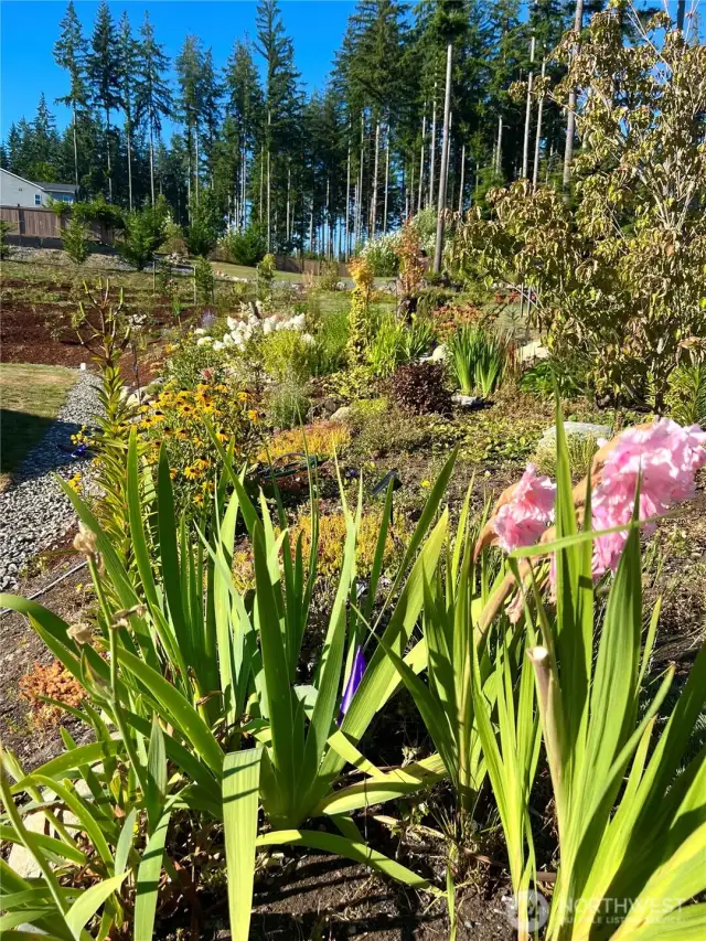 Thoughtfully designed landscaping featuring a vibrant mix of perennials, grasses and flowering shrubs for year-round enjoyment