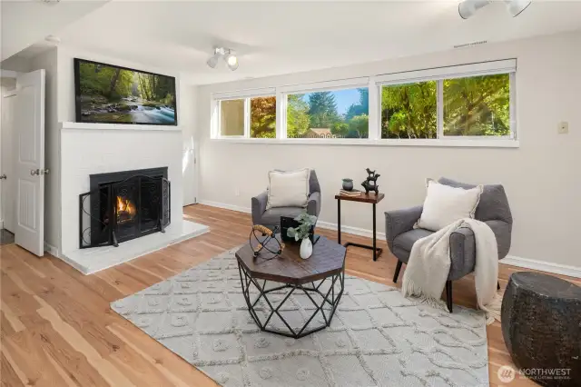 Lower level bonus room is large & fully finished