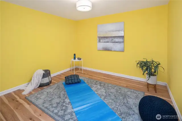 Lower level room good for workout, office space, or storage area