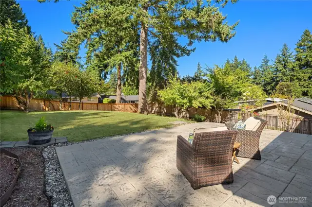 Big yard space for gardening. Has plum tree