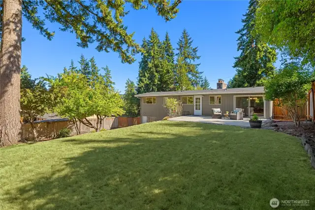 Deep back yard