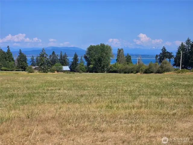 Beautiful slow sloping 8.92 acres with Cascade and Sound Views.