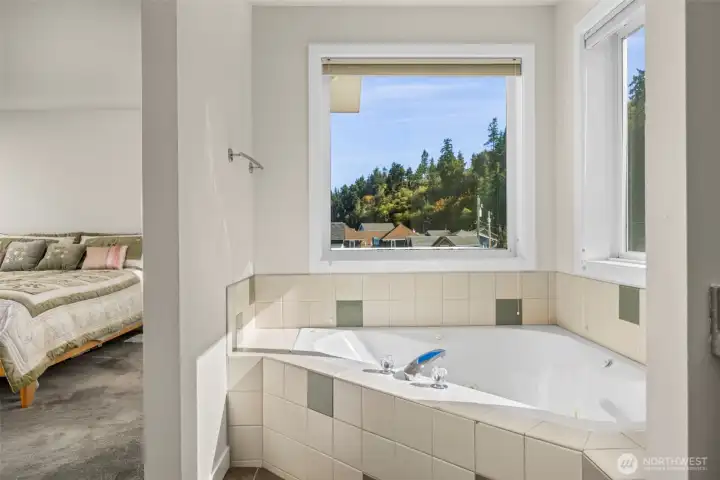 Primary Bath Soak Tub