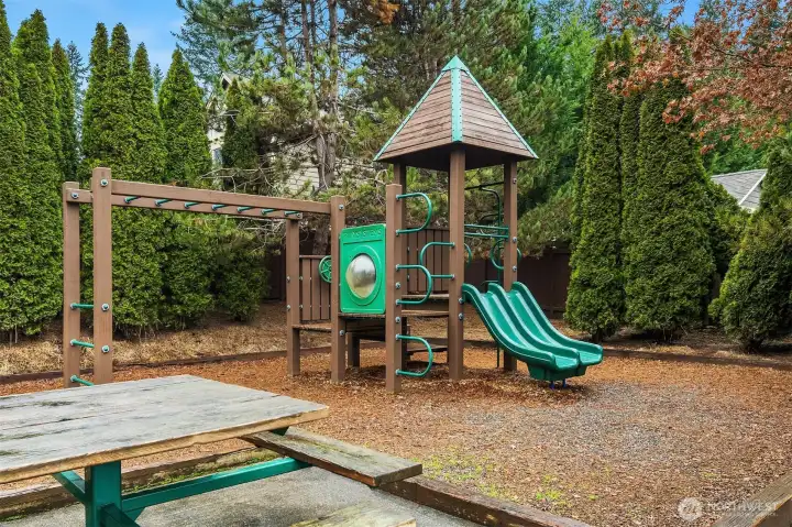 Playground in the neighborhood park.