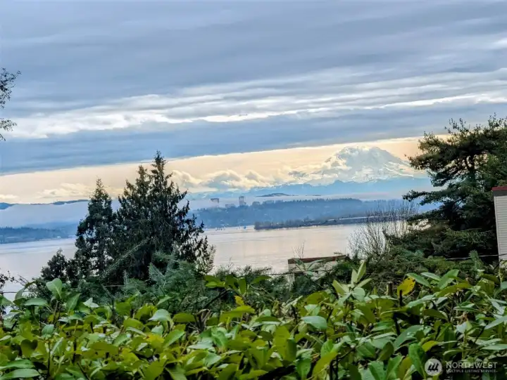 Elevated views toward Lake Washington from the property