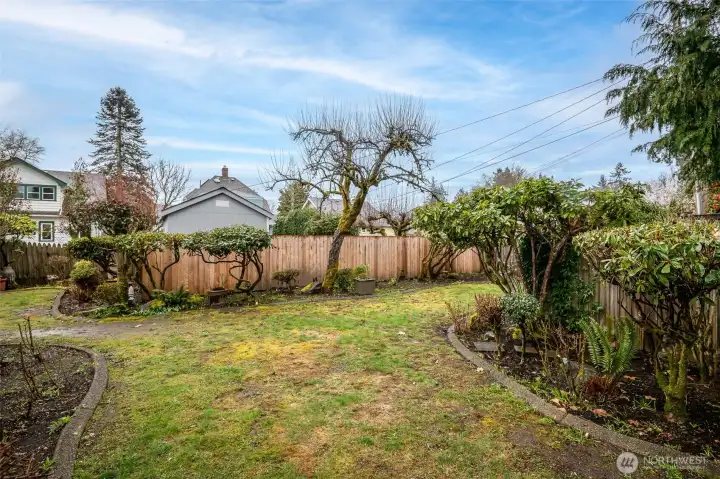 Mature landscaping all through the backyard - spring will be a delight!