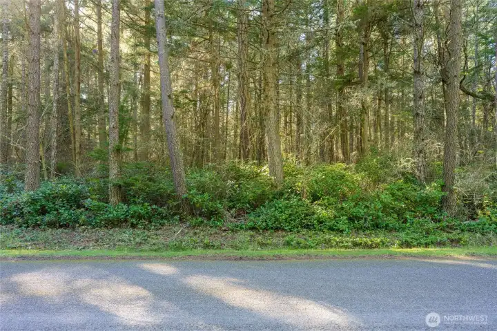 View of the east end of parcel from Shark Reef Road.