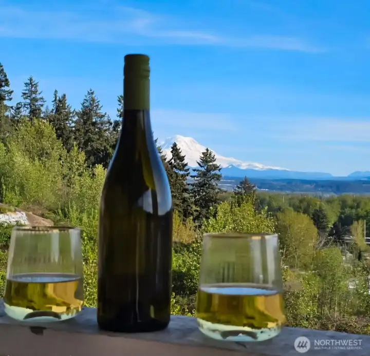 Breathtaking Mt. Rainier