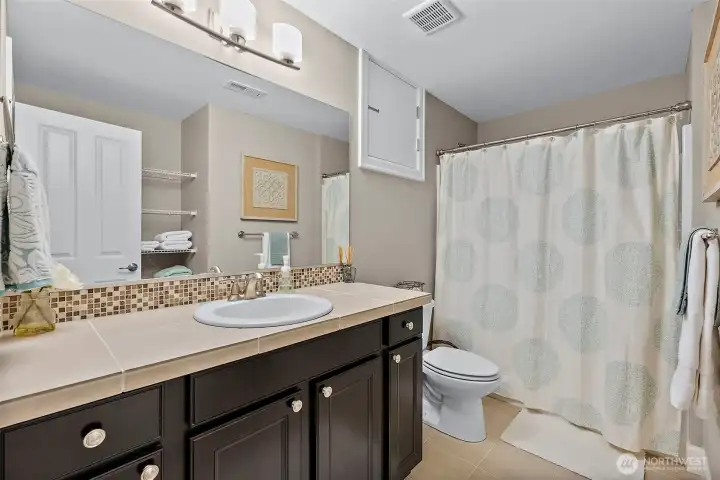 Lower level full bathroom