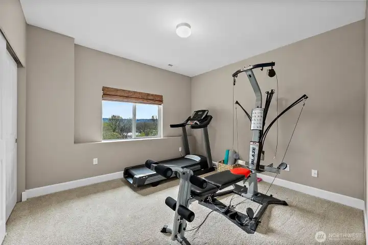 Lower Level 4th bedroom