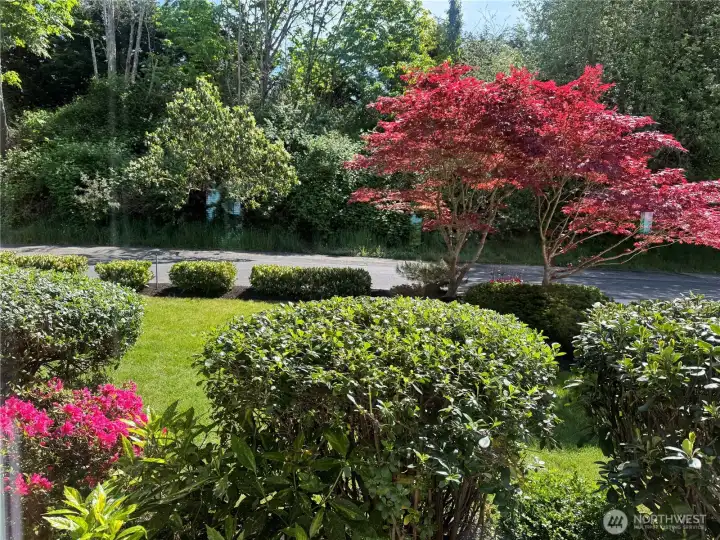 Your view from the living room is stunning