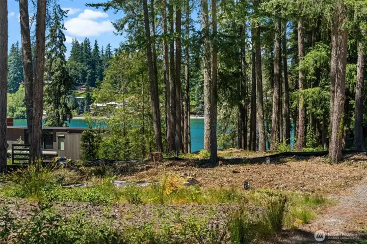Ground-level view showcasing the property's wooded setting with views toward the nearby water. Ground-level view showcasing the property's wooded setting with views toward the nearby water.