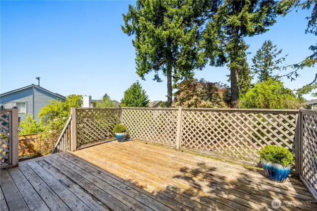 Another view of the deck and the view of mature trees in the backyard.